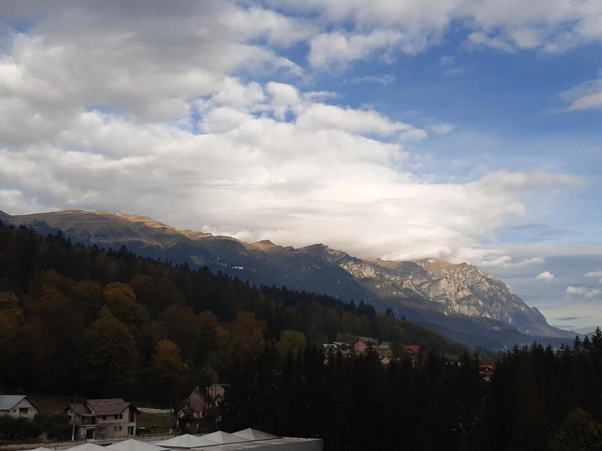 Bucegi View 39 - Colina Marei Apartamento Sinaia Exterior foto